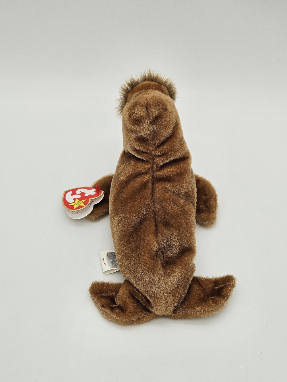 Ty Beanie Baby Walrus - Paul - Picture 2 of 4